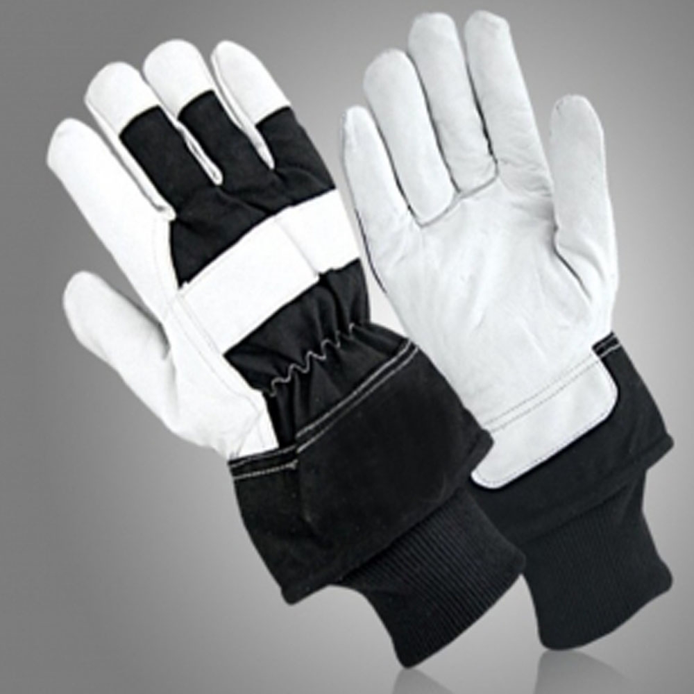 Winter Gloves