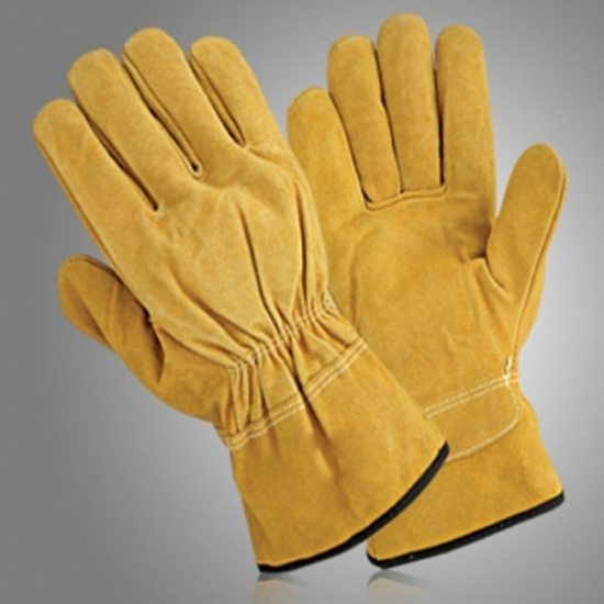 Winter Gloves