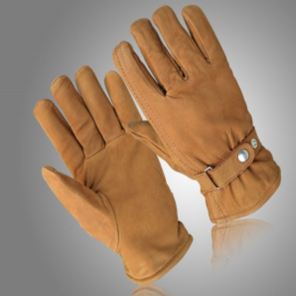 Dressing Gloves